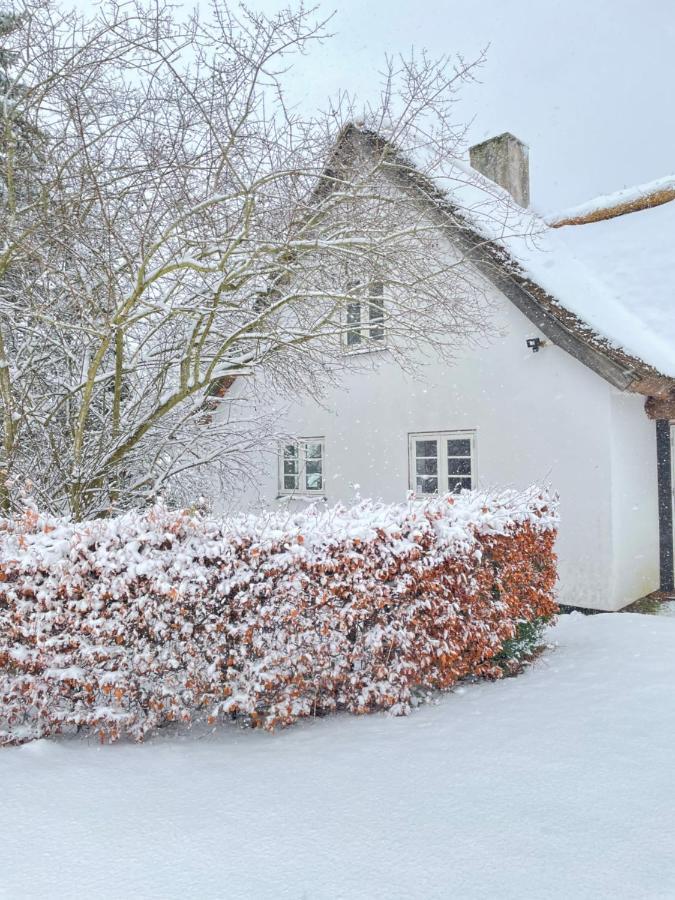 Apple Cottage Vejby Exterior foto