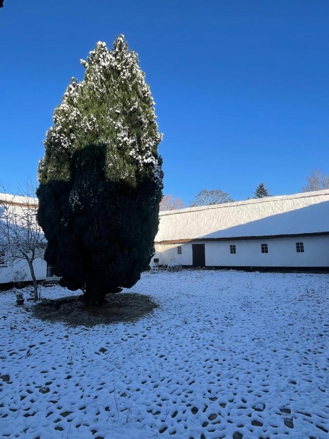 Apple Cottage Vejby Exterior foto