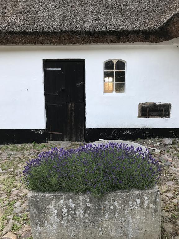 Apple Cottage Vejby Exterior foto