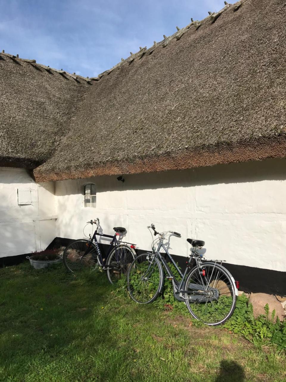 Apple Cottage Vejby Exterior foto
